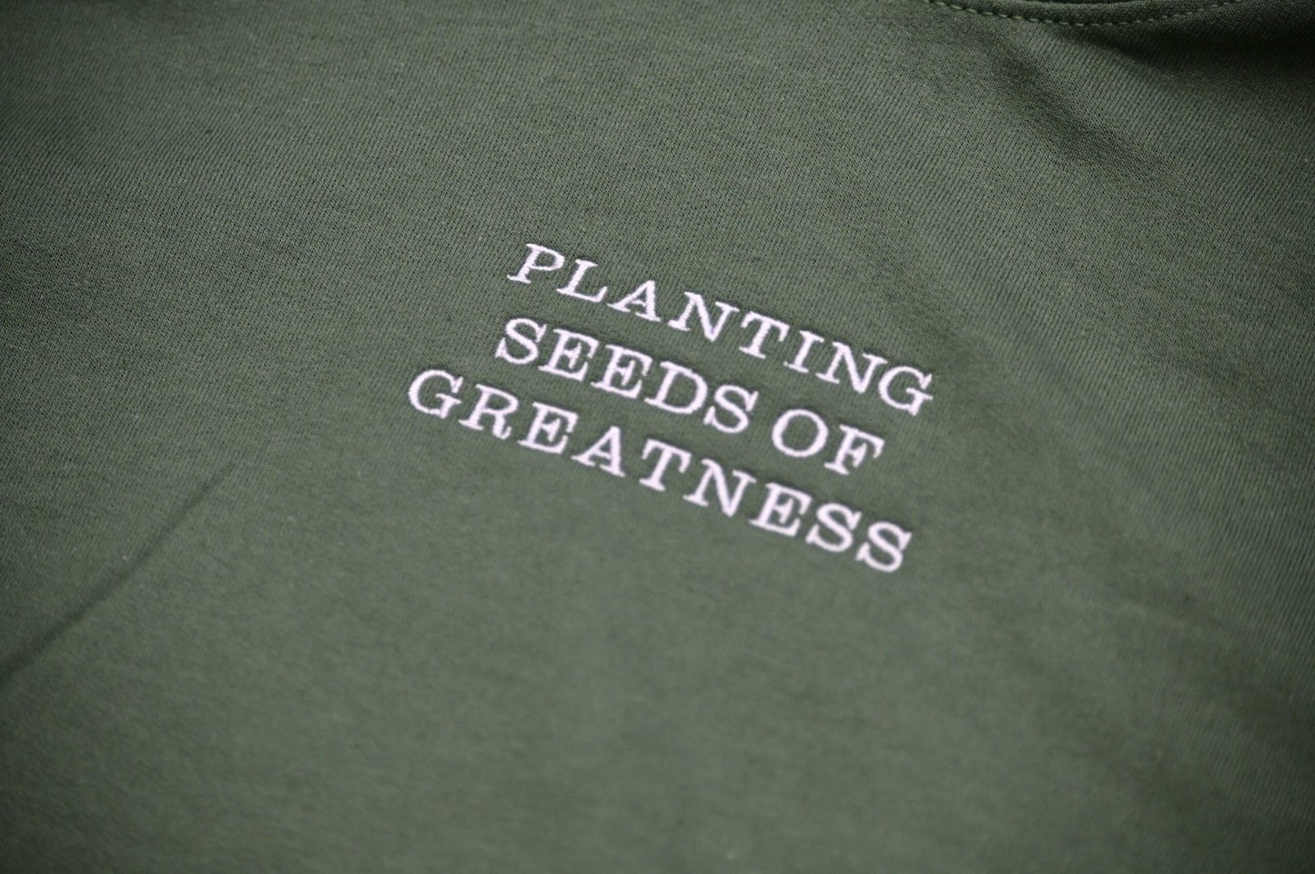 Planting Seeds Hoodie